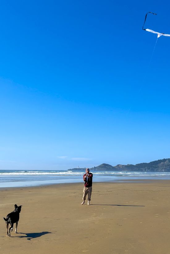 A man stands on a beach as a paraglider/hang glider flies overhead against a blue sky, with a dog nearby.